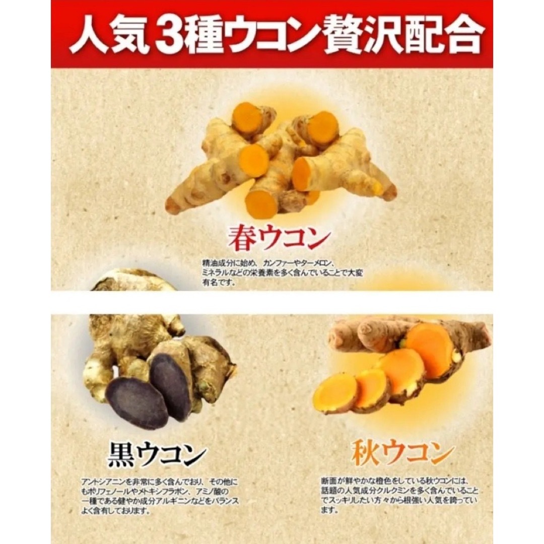 発酵黒にんにく卵黄サプリ+（マカ　ウコン　ビタミン　アミノ酸など）12ケ月分 食品/飲料/酒の加工食品(その他)の商品写真