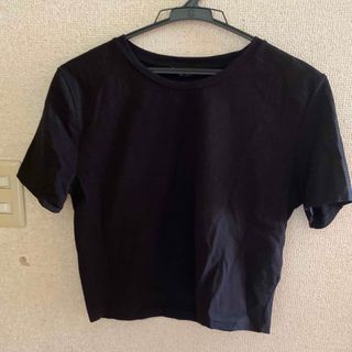 ザラ(ZARA)のZARA可愛いTシャツ(Tシャツ(半袖/袖なし))