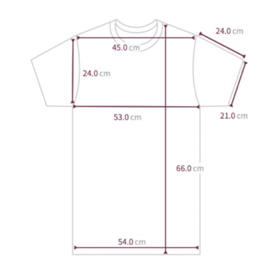 Tシャツ　半袖　波　プリントTシャツ　グラフィック　オーバーサイズ　海　川　山 レディースのトップス(Tシャツ(半袖/袖なし))の商品写真