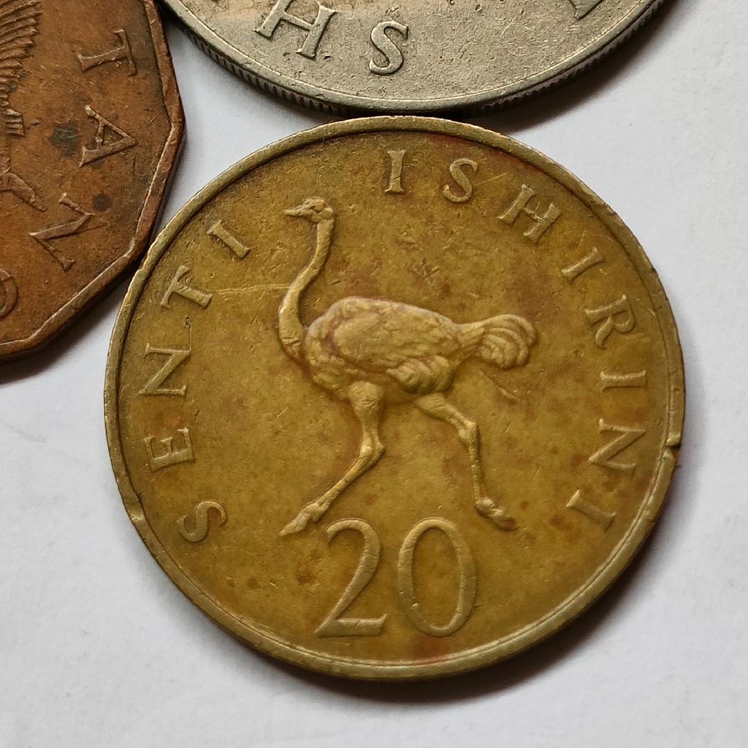 タンザニア　外国コイン　硬貨　外貨　ダチョウ