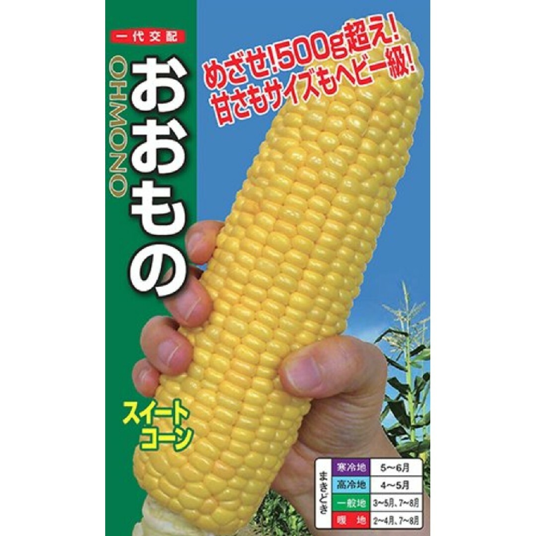 低農薬とうもろこし『おおもの1.5～1.8キロ』 食品/飲料/酒の食品(野菜)の商品写真