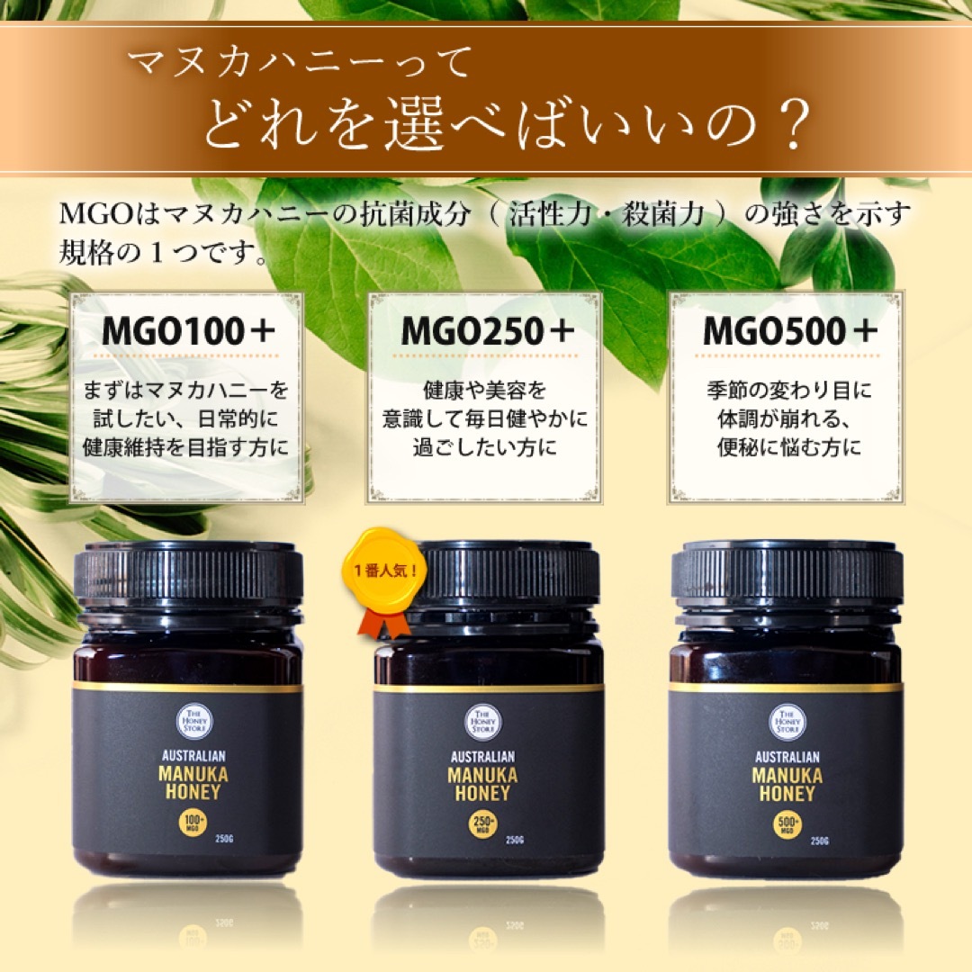 マヌカハニーMGO250+500g12個セットマヌカ蜂蜜　マヌカはちみつ