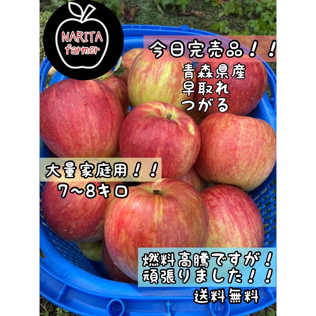 青森直送　りんご(つがる) 早取　訳あり　7〜8キロほど　果物　林檎　送料無料 食品/飲料/酒の食品(フルーツ)の商品写真