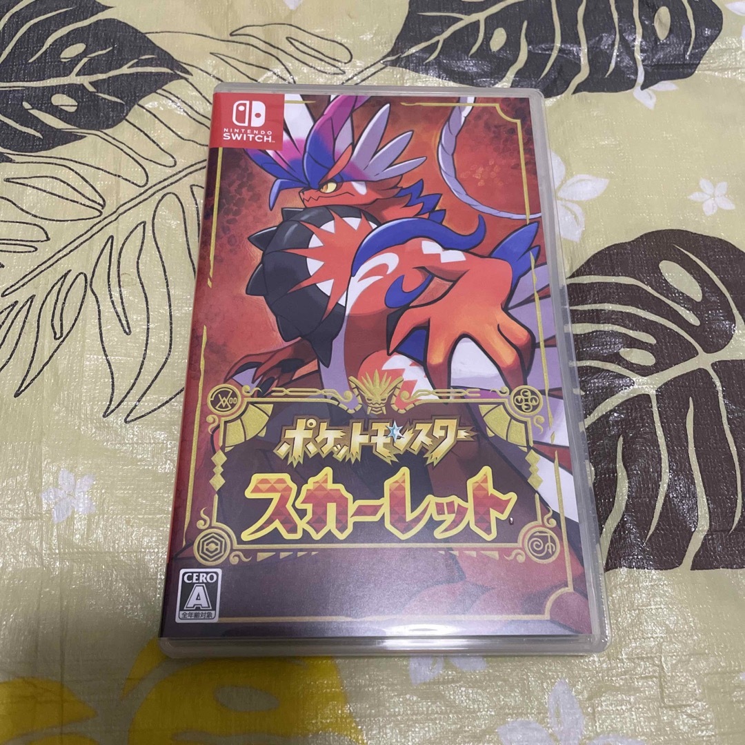 ポケットモンスター スカーレット Switch