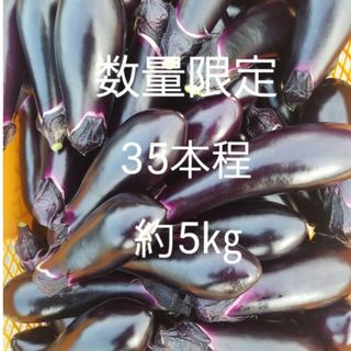 数量　限定　茄子　なす　5㎏　40本前後　訳あり　B級品(野菜)