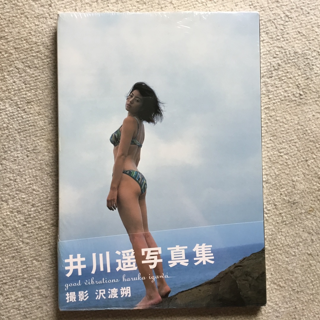 女優井川遥写真集