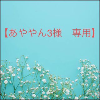 シセイドウ(SHISEIDO (資生堂))のアルティスト　ヘアカラー　白髪染め　ホワイトブリーチ　【１１）IB、TR】×２(カラーリング剤)