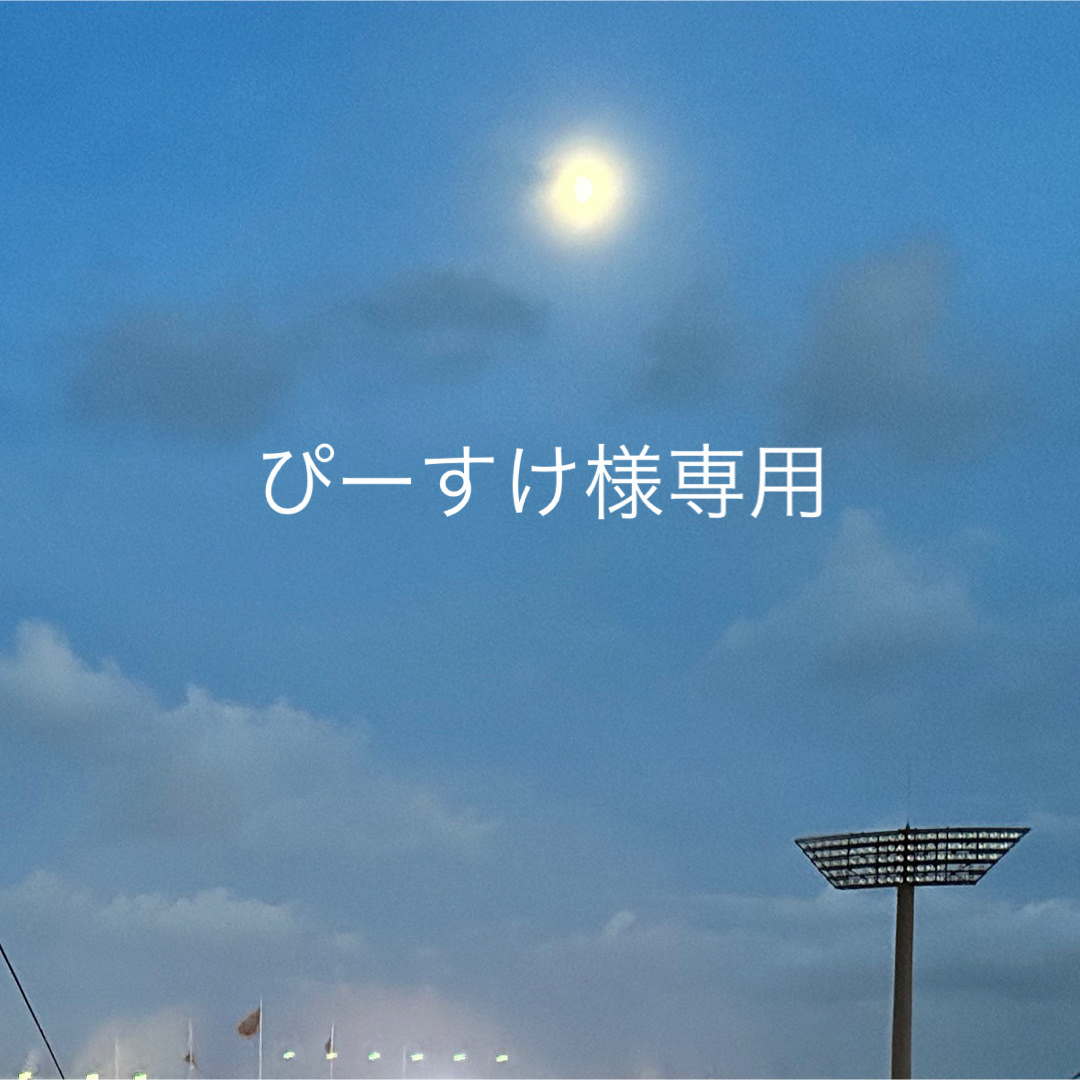 ぴーすけ様専用の通販 by はぴ's shop|ラクマ