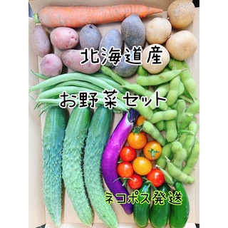 北海道産野菜セット きゅうり万願寺とうがらしミニじゃがいも(野菜)