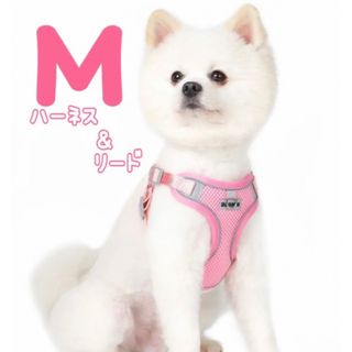 犬　ハーネス&リード　セット　M　ピンク　夏用　通気性良し　散歩　ドッグラン(犬)