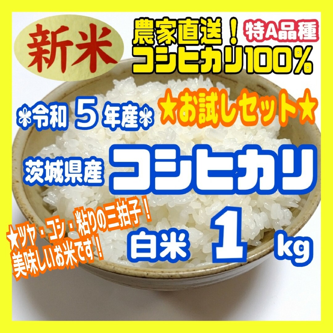 令和5年新米コシヒカリ 玄米20kg 米農家直販① - 米