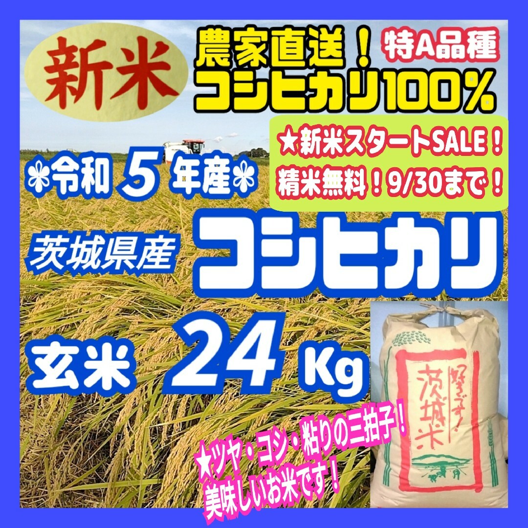 令和4年産 茨城県産 特A 一等米 コシヒカリ 玄米 24Kg 24キロ_① - 米