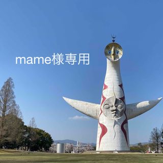 【mame様専用】(その他)