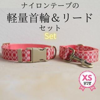 首輪＆リードセット★XSサイズ★ナイロンテープ☆丈夫★プラスチックバックル☆軽量(犬)