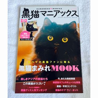 黒猫マニアックス Ｖｏｌ．２　本　美品(住まい/暮らし/子育て)