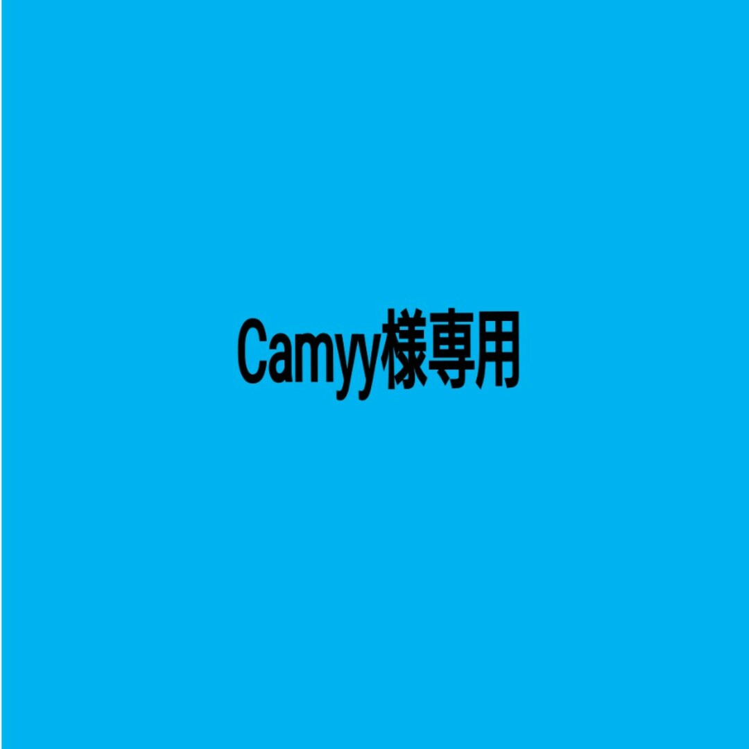 Camyy様専用 レディースのアクセサリー(リング(指輪))の商品写真