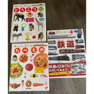 はっけんずかん　こどもずかん　新版(知育玩具)