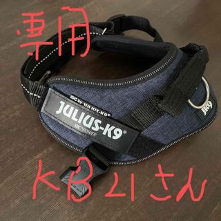 ユリウス(JULIUS)のJULIUS(犬)