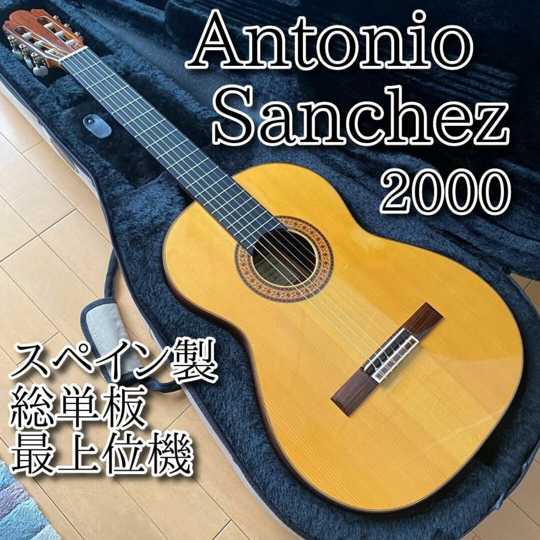 美品 Antonio Sanchez アントニオサンチェス 2000 松 最上位 | フリマアプリ ラクマ