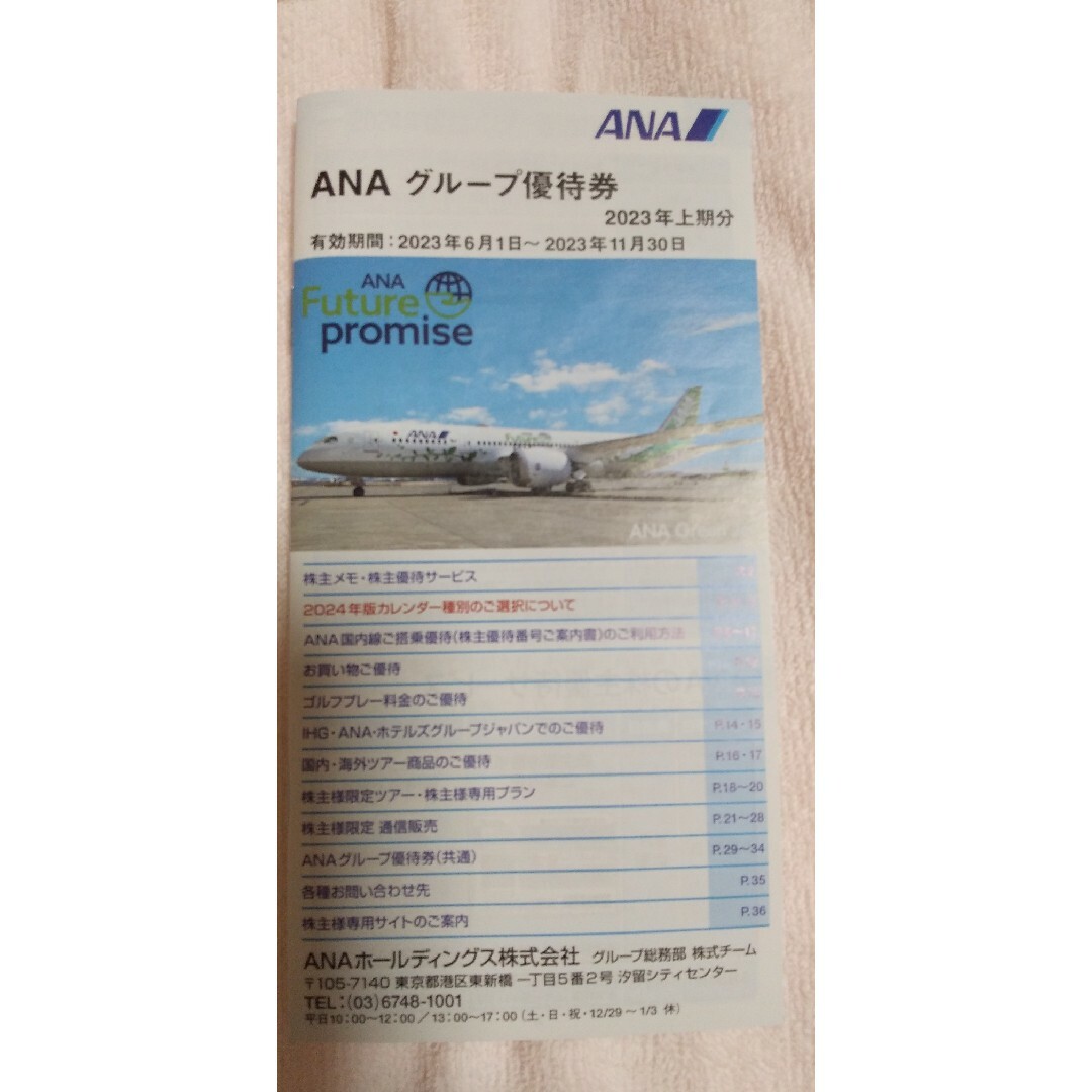 ANA(全日本空輸)(エーエヌエー(ゼンニッポンクウユ))のANA 株主優待券3枚セット　2024年5月31日有効期限 チケットの乗車券/交通券(航空券)の商品写真