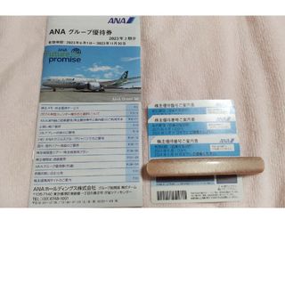 エーエヌエー(ゼンニッポンクウユ)(ANA(全日本空輸))のANA 株主優待券3枚セット　2024年5月31日有効期限(航空券)