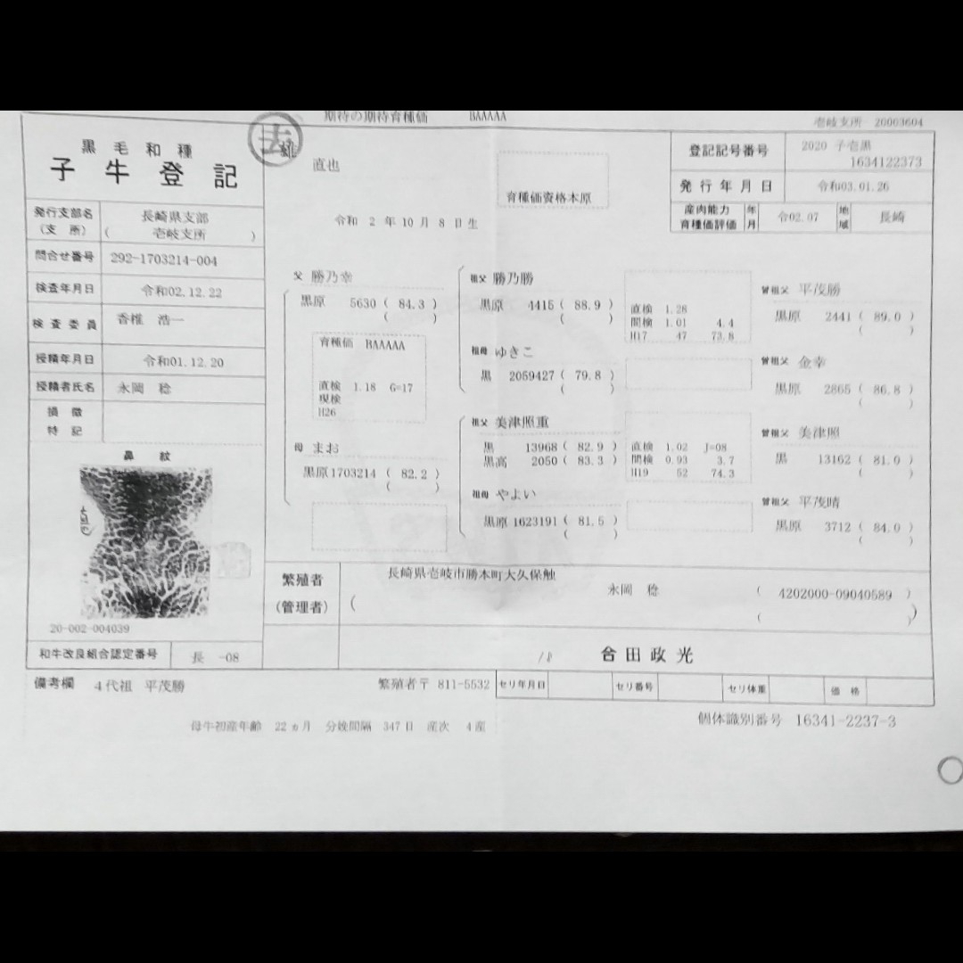 国産高級黒毛和牛 A5証明書付 ロースしゃぶしゃぶ すき焼き900g保冷バッグ 食品/飲料/酒の食品(肉)の商品写真