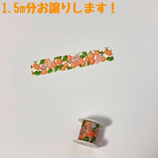 コクヨ(コクヨ)のマスキングテープ　マステ　1.5m　サイエン　コクヨ　bobbin　５０１(テープ/マスキングテープ)