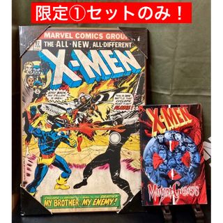 マーベル(MARVEL)の【洋書】XーMEN エックスメン　ミュータントジェネシス／貴重！パネルボード(アメコミ/海外作品)