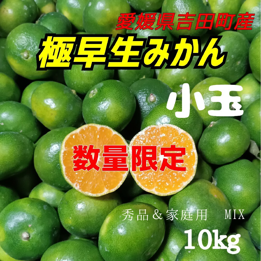数量限定】愛媛県産☆極早生みかん☆小玉 10キロの通販 by haru-chi 's