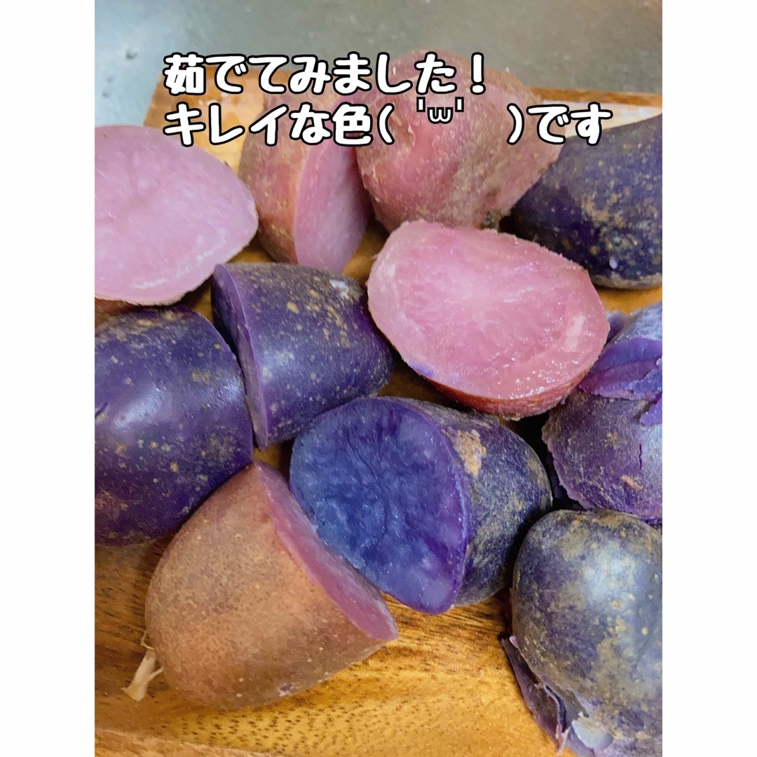 北海道産 野菜セット詰め合わせ 食品/飲料/酒の食品(野菜)の商品写真