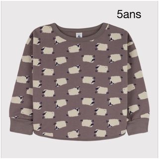 プチバトー(PETIT BATEAU)のプチバトー　スウェットプリント長袖プルオーバー　5ans(Tシャツ/カットソー)