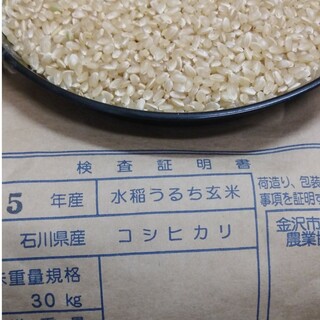 新米　コシヒカリ　玄米３０kg(米/穀物)