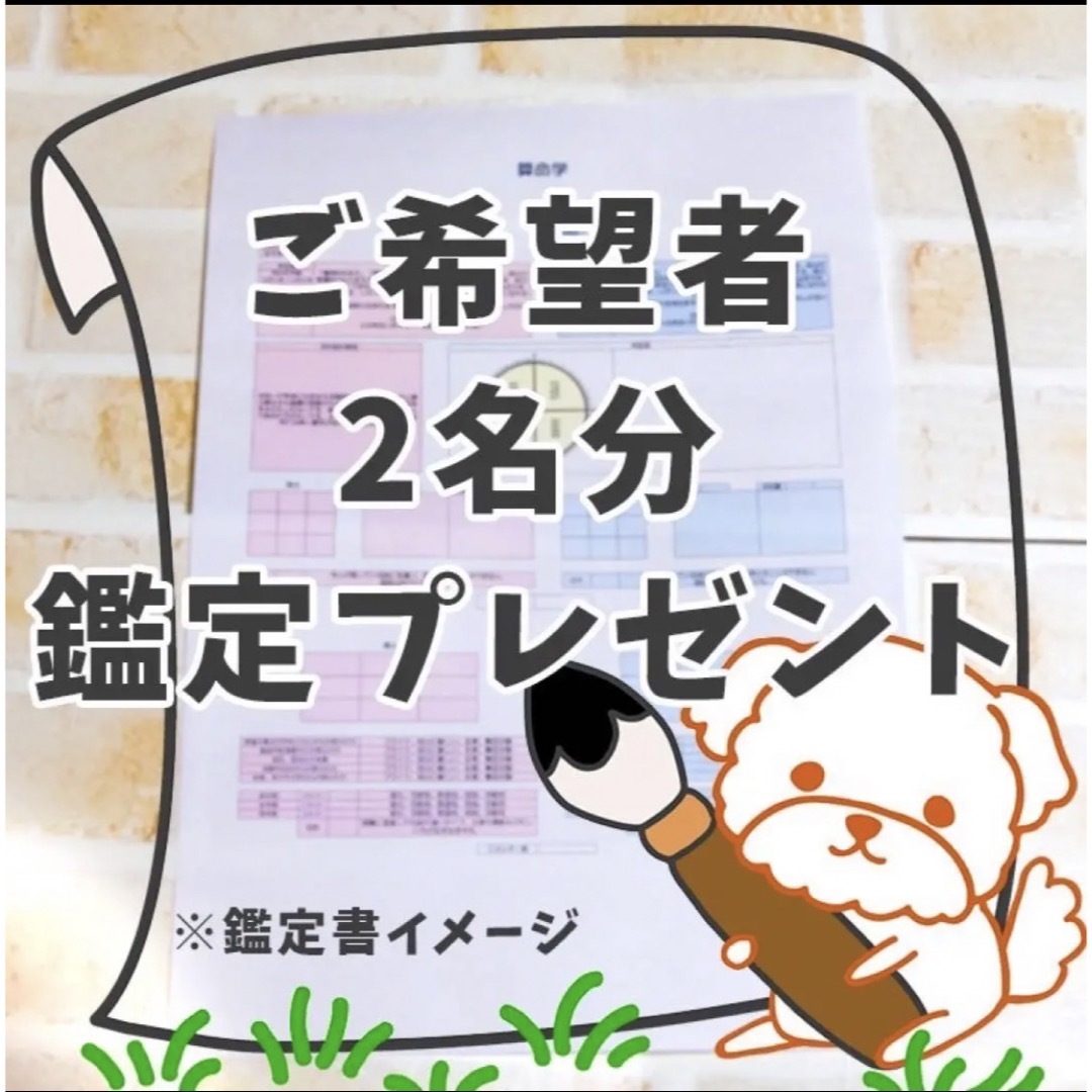 算命学基礎完全マニュアル(結婚・天中殺・六親法等、各種一覧表付き全種類セット)の通販 by 古都巳＊各種鑑定＊占いマニュアル｜ラクマ