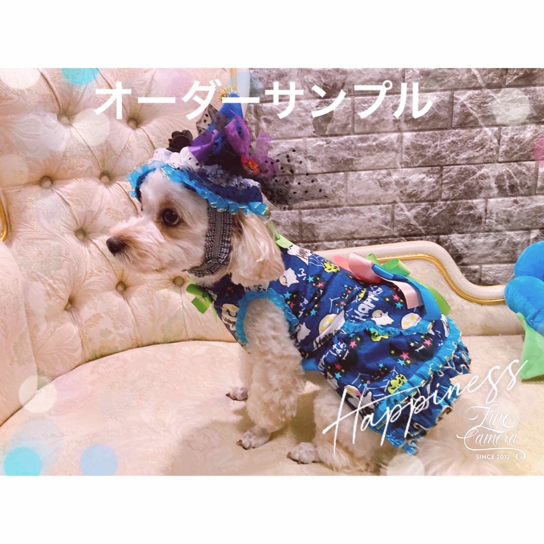D4.pon2pan2☆オーダー☆犬ハロウィンワンピ☆ワンコハロウィンワンピ