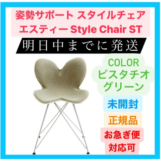 【新品】 スタイルチェア エスティー Style Chair ST ピスタチオ(その他)