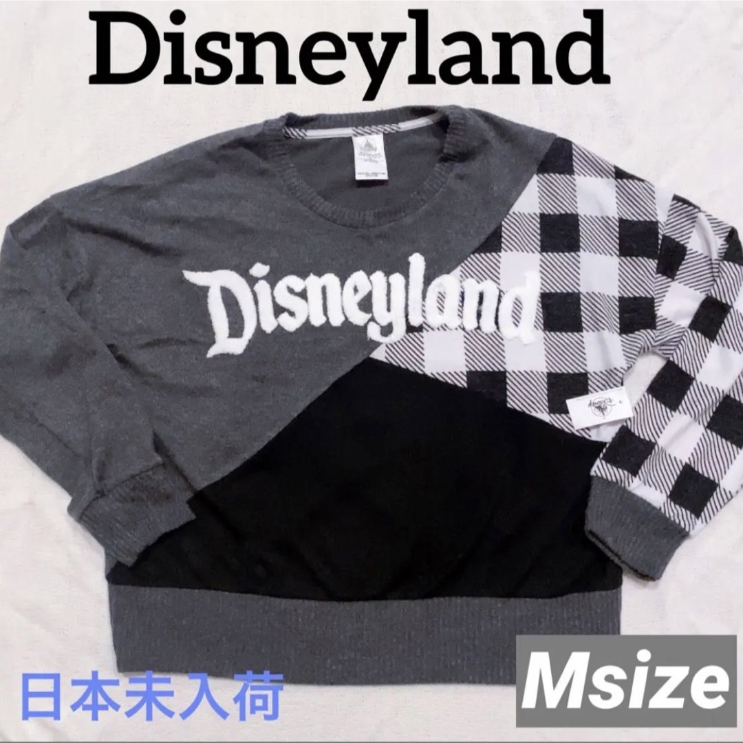 激レア♪完売 『Disneyland』サガラ ロゴ  ニット トップス 海外限定