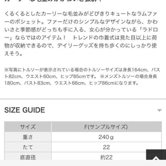 ラドローミンクファーバッグ　延長出品2/28で出品終了