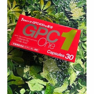 【最終値下げ】GPC1 GPCワン30粒　(その他)