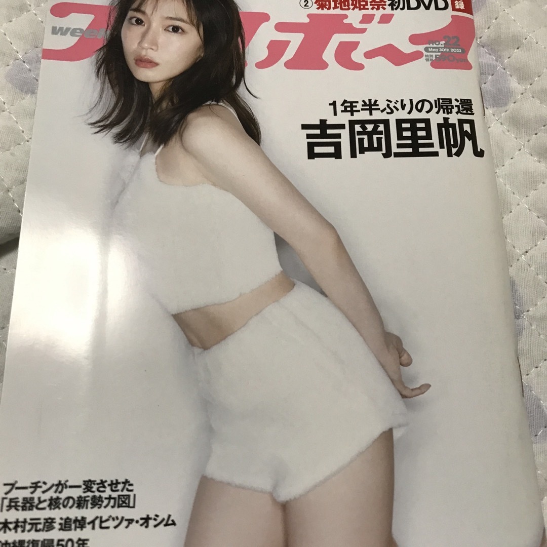 集英社(シュウエイシャ)の週刊 プレイボーイ 2022年 5/30号 エンタメ/ホビーの雑誌(その他)の商品写真