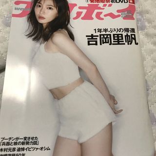 シュウエイシャ(集英社)の週刊 プレイボーイ 2022年 5/30号(その他)