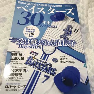 ヨコハマディーエヌエーベイスターズ(横浜DeNAベイスターズ)のベイスターズ３０年史 １９９３－２０２３(趣味/スポーツ/実用)