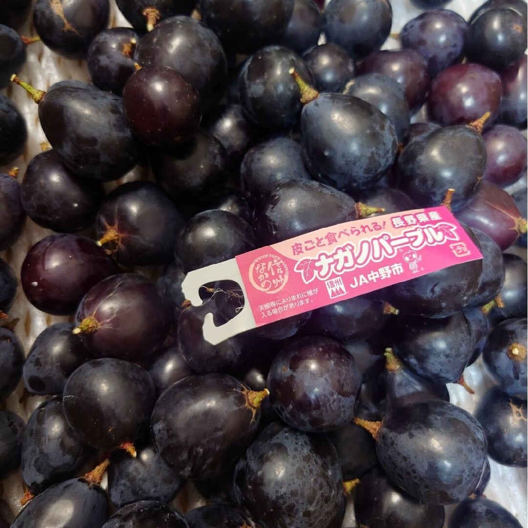 濃厚ナガノパープル粒粒1000g 食品/飲料/酒の食品(フルーツ)の商品写真