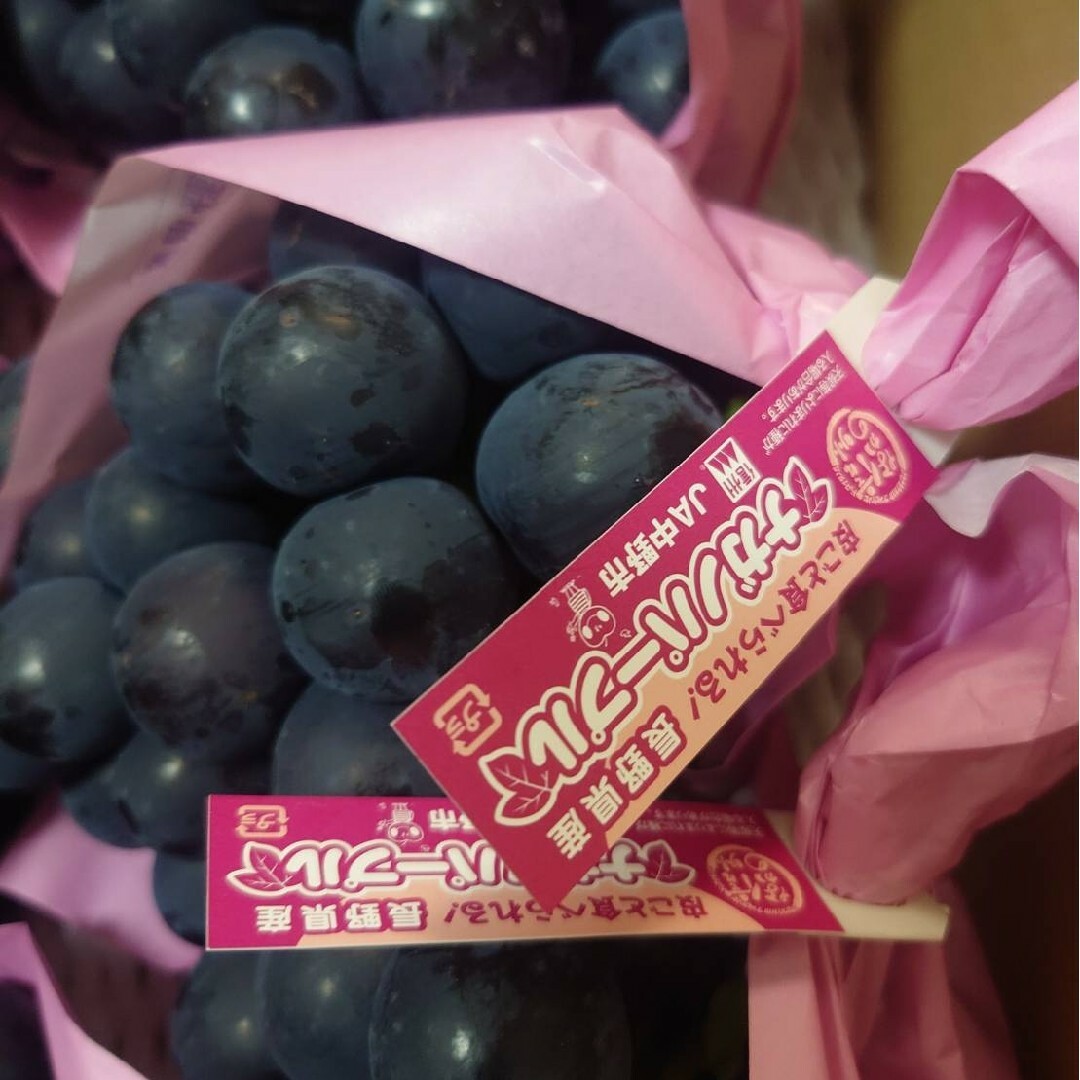 濃厚ナガノパープル粒粒1000g 食品/飲料/酒の食品(フルーツ)の商品写真