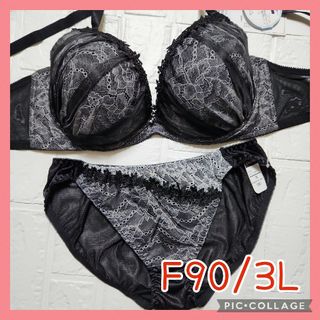 新品未使用 ブラジャーショーツセット F90/3L 6029(ブラ&ショーツセット)