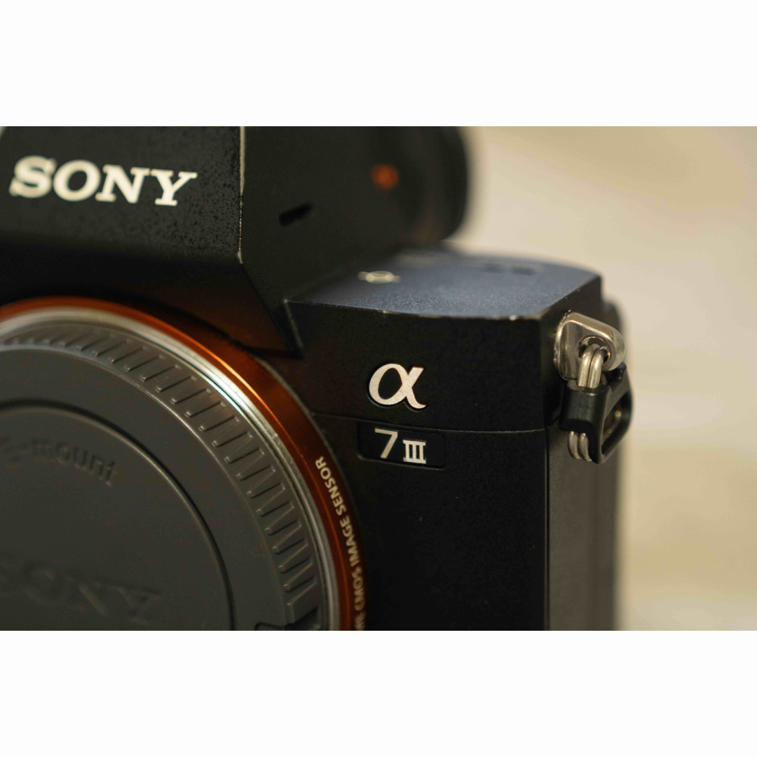 SONY(ソニー)の【専用】SONY ILCE-7M3 ソニーα7ⅲ ボディ　α7iii スマホ/家電/カメラのカメラ(ミラーレス一眼)の商品写真