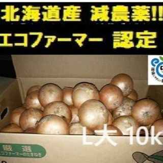 北海道産 玉ねぎ L大サイズ 10kg(野菜)