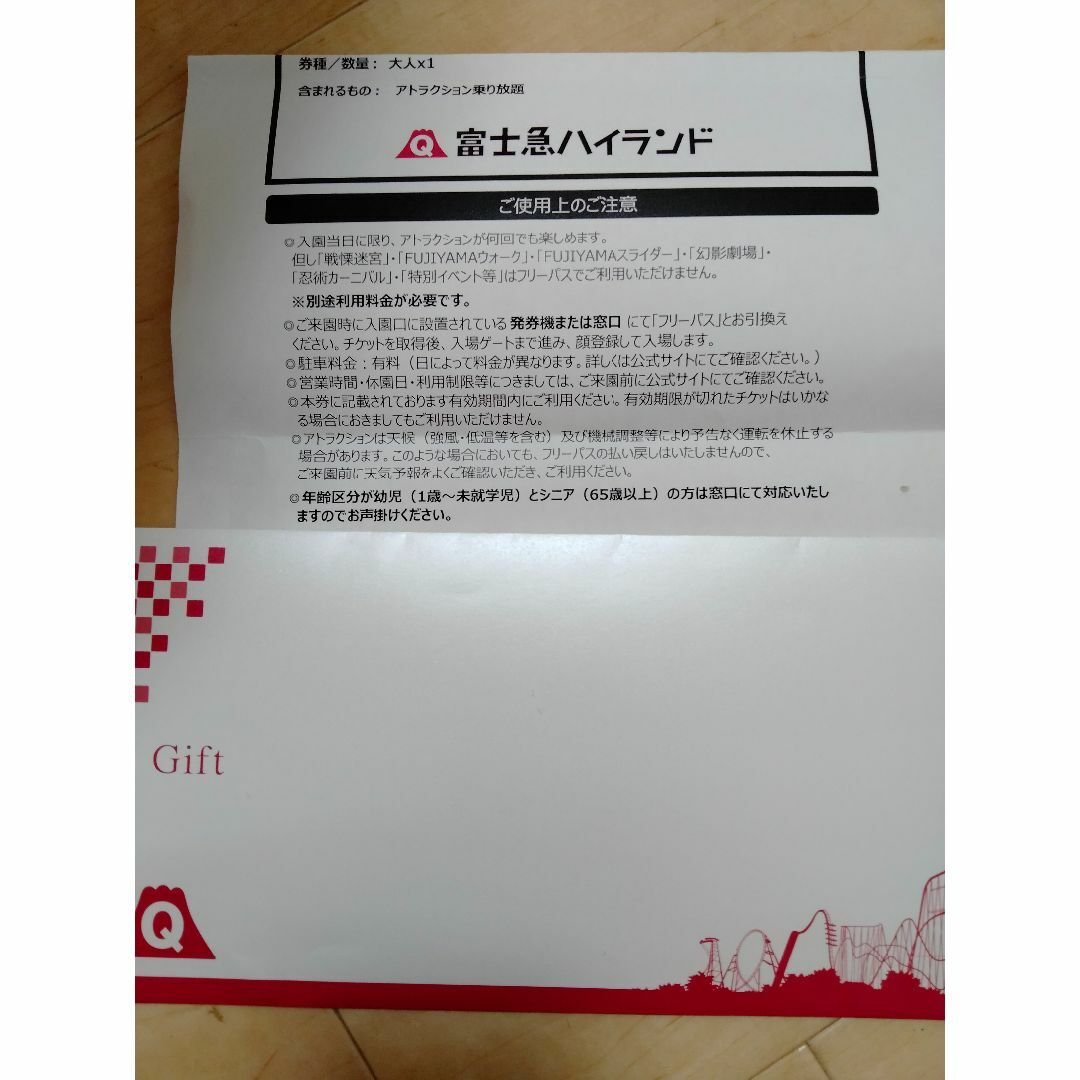 最新富士急ハイランド  フリーパス２枚　来年３月末迄　ミニレター即発送　割引不可