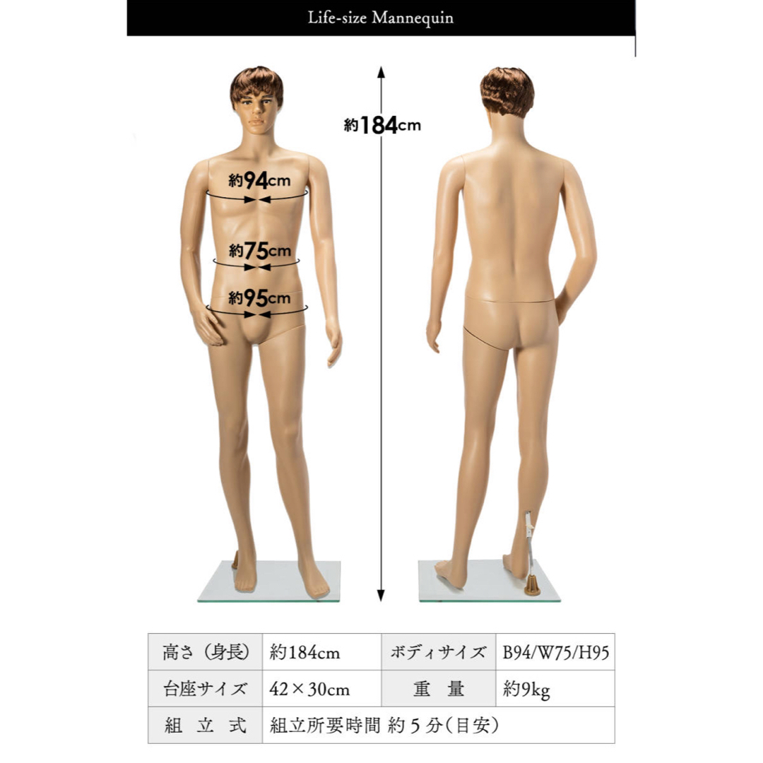 等身大 マネキン 男性 185cm カツラ&スタンド付き ディスプレイの通販