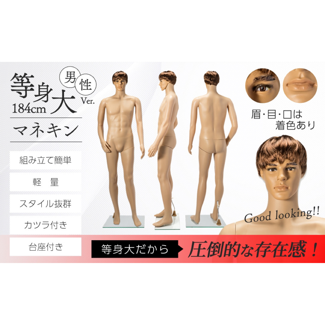 等身大 マネキン 男性 185cm カツラ&スタンド付き ディスプレイ