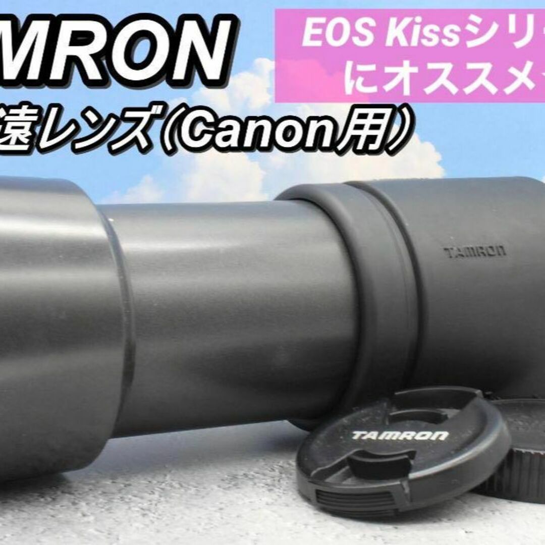 ☆Cannon用超望遠レンズ☆ TAMRON AF 70-300